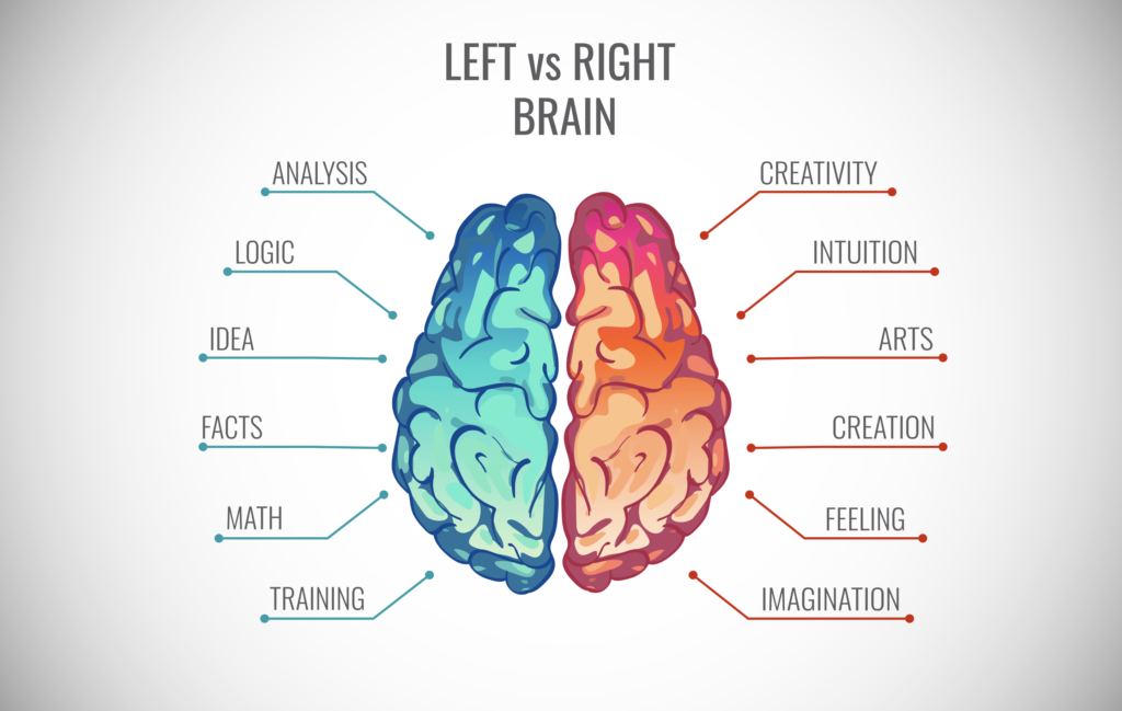 Left vs right brain creative juices